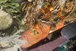 Sale Photo Thumbnail #9