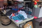 Sale Photo Thumbnail #19