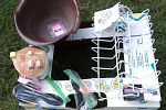 Sale Photo Thumbnail #15
