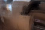 Sale Photo Thumbnail #31