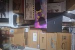 Sale Photo Thumbnail #86