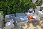 Sale Photo Thumbnail #19