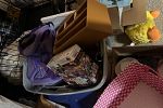 Sale Photo Thumbnail #8