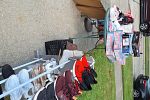 Sale Photo Thumbnail #5