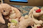 Sale Photo Thumbnail #24