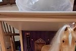 Sale Photo Thumbnail #2