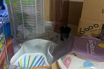 Sale Photo Thumbnail #14