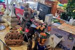 Sale Photo Thumbnail #13