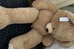 Sale Photo Thumbnail #1