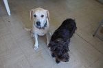 Sale Photo Thumbnail #41