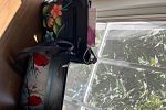 Sale Photo Thumbnail #25