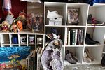 Sale Photo Thumbnail #7