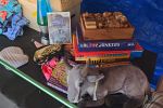 Sale Photo Thumbnail #2