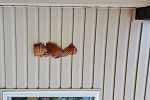 Sale Photo Thumbnail #23