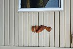 Sale Photo Thumbnail #24