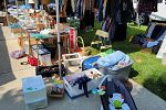 Sale Photo Thumbnail #9