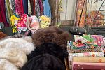 Sale Photo Thumbnail #8