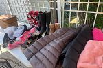 Sale Photo Thumbnail #6