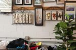 Sale Photo Thumbnail #11