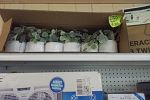 Sale Photo Thumbnail #31