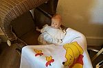 Sale Photo Thumbnail #31