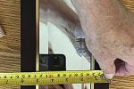Sale Photo Thumbnail #13