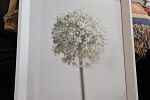 Sale Photo Thumbnail #42