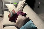 Sale Photo Thumbnail #6