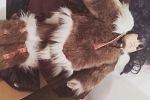 Sale Photo Thumbnail #12