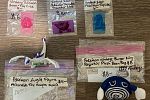 Sale Photo Thumbnail #36