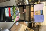 Sale Photo Thumbnail #18