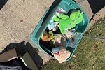 Sale Photo Thumbnail #15