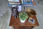 Sale Photo Thumbnail #6