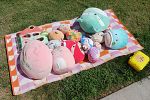 Sale Photo Thumbnail #7