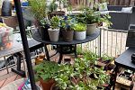 Sale Photo Thumbnail #10