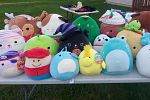 Sale Photo Thumbnail #10