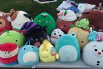 Sale Photo Thumbnail #6