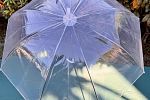 Sale Photo Thumbnail #42