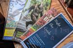 Sale Photo Thumbnail #21