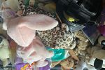 Sale Photo Thumbnail #8