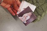 Sale Photo Thumbnail #88