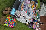 Sale Photo Thumbnail #17