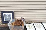 Sale Photo Thumbnail #13