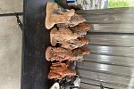 Sale Photo Thumbnail #7