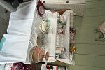 Sale Photo Thumbnail #12