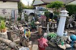 Sale Photo Thumbnail #10