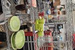 Sale Photo Thumbnail #5