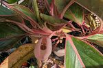 Sale Photo Thumbnail #15