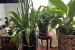 Sale Photo Thumbnail #14