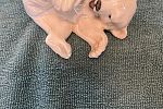 Sale Photo Thumbnail #19